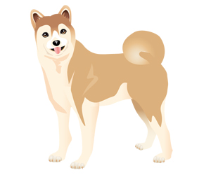 サンプル　日本犬-1