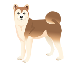 サンプル　日本犬-2