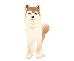 サンプル　日本犬-4